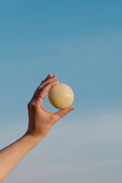 Sweet Nothin' Tallow Soap